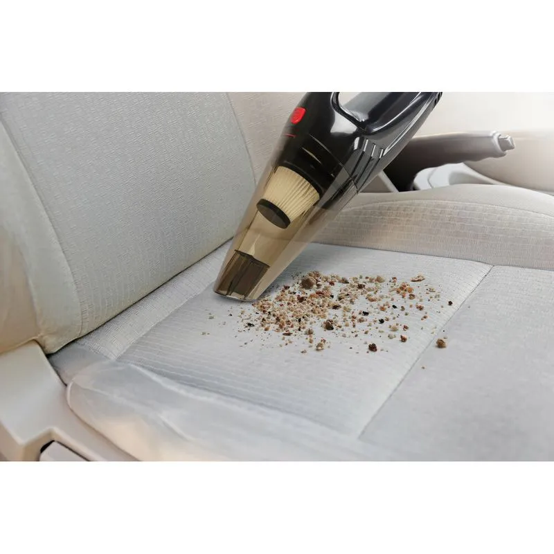 FSHESE ME PRIZE 12V - 100W - Image 4